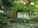 hashimoto apartments shed